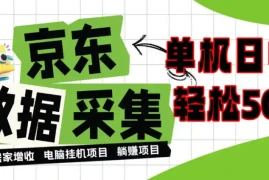 闲置电脑变现！单机单天收益500 ，京东数据采集优化，全天纯挂G【揭秘】