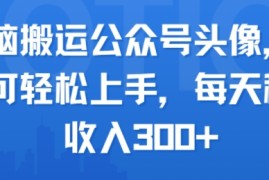 无脑搬运公众号头像，小白可轻松上手，每天稳定收入3张 