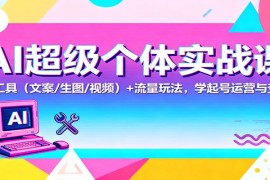 AI超级个体实战课：AI 工具(文案/生图/视频)  流量玩法，学起号运营与变现