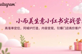 （17113期）小而美生意小红书实战营：高客单定位，同城IP打造，内容变现，引爆门店高价客户