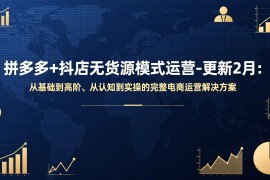 拼多多 抖店无货源模式运营-更新2月：从基础到高阶、从认知到实操的完整电商运营解决方案