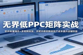 无界低PPC矩阵实战：软件批量操作 多矩阵玩法，手把手教你降低投产成本提升店铺效益