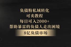 8亿负债市场，负债粉私域转化，可卖教程，每日可入2000 ，无需经验（包含资料）