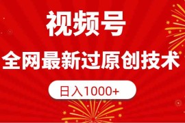 （9713期）视频号，全网最新过原创技术，日入1000 