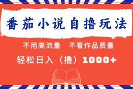 （13014期）番茄小说最新自撸 不看流量 不看质量 轻松日入1000 
