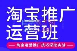 美迪电商·淘宝高级运营班 推广运营班(更新9月)