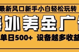 2025最新风口 海外美金广告 单机单日500  可无限放大 设备越多收益越大 轻松上手