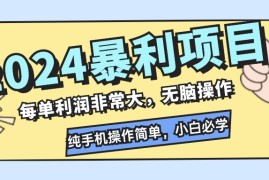 （12130期）2024暴利项目，每单利润非常大，无脑操作，纯手机操作简单，小白必学项目