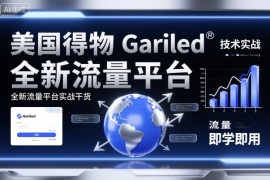 美国得物Gariled技术实战，全新流量平台实战干货，即学即用