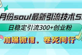 （12772期）9月份soul最新引流技术5.0，日稳定引流300 创业粉，加爆微信，卷死同行