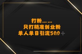 打粉只打精准创业粉，单人单日引流500 
