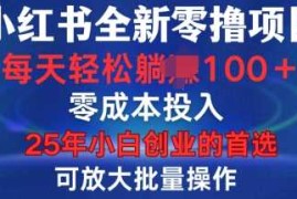 小红书全新纯零撸项目，只要有号就能玩，可放大批量操作，轻松日入100 【揭秘】