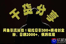 价值6980的干货分享，闲鱼引流秘技！轻松日引300 精准创业粉，2年翻身实现财务自由
