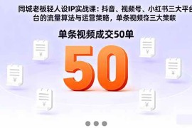 （16313期）同城老板轻人设IP实战课：抖音 视频号 小红书流量算法，单条视频成交50单