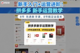 新手入门 运营进阶！拼多多新手运营教学，8节吃透新手课，8节搞定运营关
