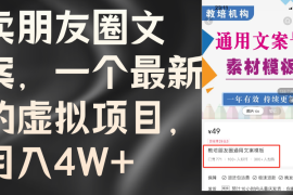 （11886期）卖朋友圈文案，一个最新的虚拟项目，月入4W （教程 素材）