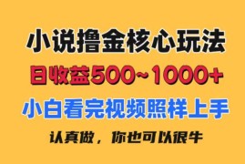 （11461期）小说撸金核心玩法，日收益500-1000 ，小白看完照样上手，0成本有手就行