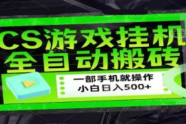 CSGO游戏挂机捡漏搬砖，超稳定的项目，带领1000 小白实现日入500 