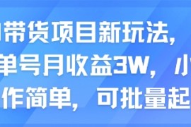 AI带货项目新玩法，实测单号月收益3W，小白操作简单，可批量起号