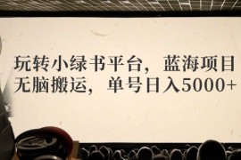 （12366期）玩转小绿书平台，蓝海项目，无脑搬运，单号日入5000 