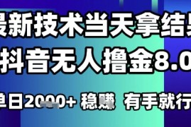 2025六月最新抖音无人撸金8.0.最新技术当天拿结果，单日1k  有手就行【揭秘】