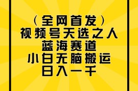 全网首发，视频号天选之人蓝海赛道，小白无脑搬运日入一千