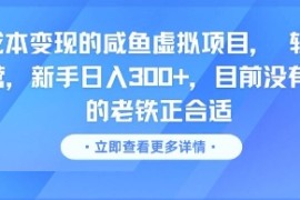 零成本变现的咸鱼虚拟项目， 轻资产运营，新手日入3张 ，目前没有项目的老铁正合适