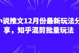 小说推文12月份最新玩法分享，知乎混剪批量玩法
