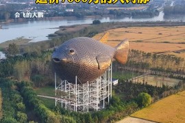 吉尼斯最薄手机(史上最薄手机排名)