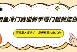 闲鱼冷门赛道新手零门槛就能做，刚需量大竞争小，每天稳稳入账100 