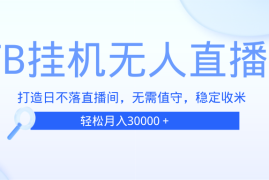 （13505期）TB无人直播，打造日不落直播间，无需真人出镜，无需值守，打造日不落直…