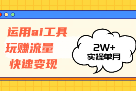 （12955期）运用AI工具玩赚流量快速变现 实操单月2w 