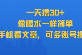 一天撸30 ，像喝水一样简单，手机看文章，可多账号操作