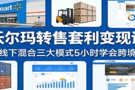 沃尔玛转售套利变现课：线上线下混合三大模式5小时学会跨境盈利