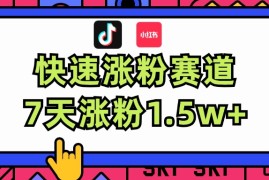 （11949期）涨粉超快蓝海赛道！轻松伪原创，7天涨粉1.5w 