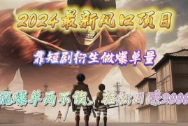 （10118期）2024最新风口项目，靠短剧衍生做爆单量，引流爆单轻松日赚2000 