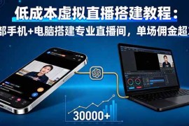 （16156期）低成本虚拟直播搭建教程：一部手机 电脑搭建专业直播间，单场佣金超3万