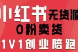 小红书无货源0粉电商课，开店准备、选品策略、笔记撰写、视频剪辑、数据分析、账号打造、资料文档(更新26年09月16日)