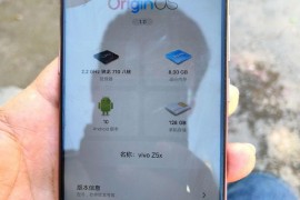 vivoz5手机(vivoz5手机录屏)