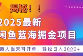 2025最新闲鱼蓝海掘金项目，新人当天可开单，轻松日入多张 的保姆级教程