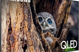 三星e498(三星e498自带歌曲)