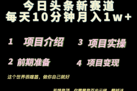 今日头条小赛道，天气领域，每天操作10分钟，月入1w 