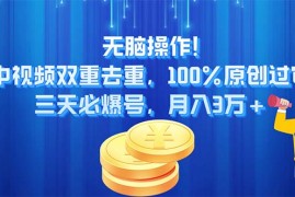 （11353期）无脑操作!中视频双重去重，100%原创过审，三天必爆号，月入3万 