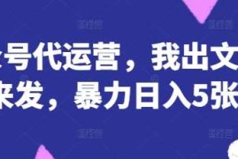公众号代运营，我出文章你来发，暴力日入5张 【揭秘】