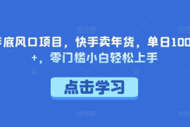 年底风口项目，快手卖年货，单日 1000 ，零门槛小白轻松上手