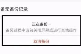 荣耀云服务(荣耀云服务官方)