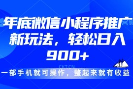 （13761期）24年底微信小程序推广最新玩法，轻松日入900 