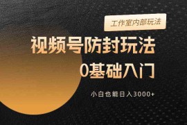 （10107期）2024视频号升级防封玩法，零基础入门，小白也能日入3000 