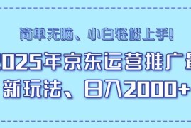 （14179期）25年京东运营推广最新玩法，日入2000 ，小白轻松上手！
