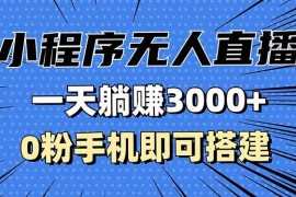（13326期）抖音小程序无人直播，一天躺赚3000 ，0粉手机可搭建，不违规不限流，小…